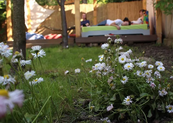 ホステル Costel ティミショアラ