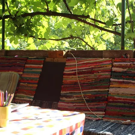 بيت شباب Costel